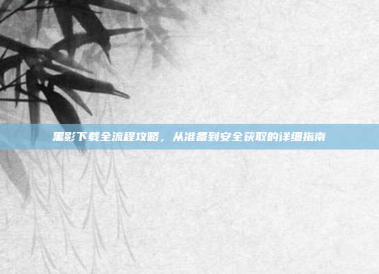 黑影下载全流程攻略，从准备到安全获取的详细指南