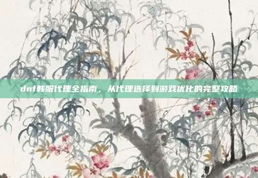 dnf韩服代理全指南,从代理选择到游戏优化的完整攻略