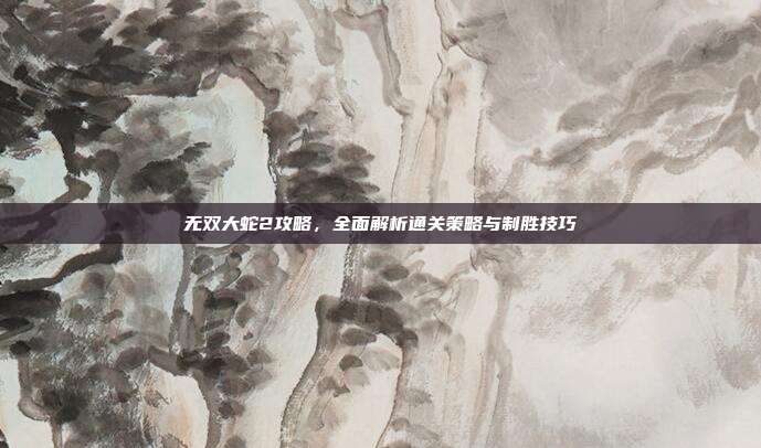 无双大蛇2攻略,全面解析通关策略与制胜技巧