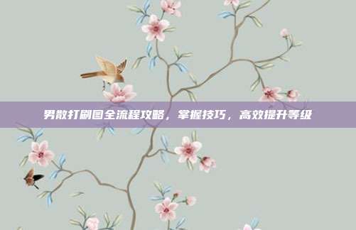 男散打刷图全流程攻略,掌握技巧,高效提升等级
