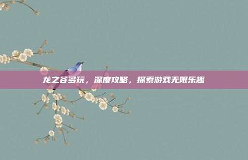 龙之谷多玩,深度攻略,探索游戏无限乐趣