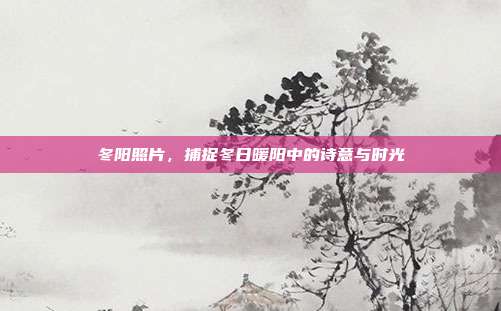 冬阳照片,捕捉冬日暖阳中的诗意与时光