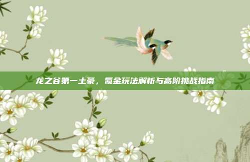 龙之谷第一土豪，氪金玩法解析与高阶挑战指南