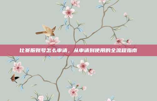 比赛服账号怎么申请,从申请到使用的全流程指南