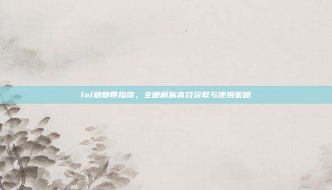 lol勋章带指南,全面解析高效获取与使用策略