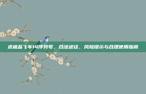 求极品飞车14序列号,合法途径、风险提示与合理使用指南