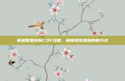 英雄联盟皮肤CDK攻略,解锁限定皮肤的新方式