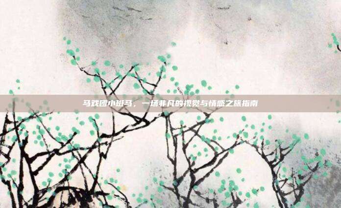 马戏团小斑马,一场非凡的视觉与情感之旅指南
