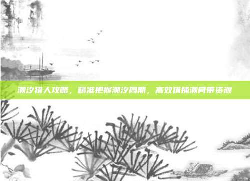 潮汐猎人攻略,精准把握潮汐周期,高效猎捕潮间带资源