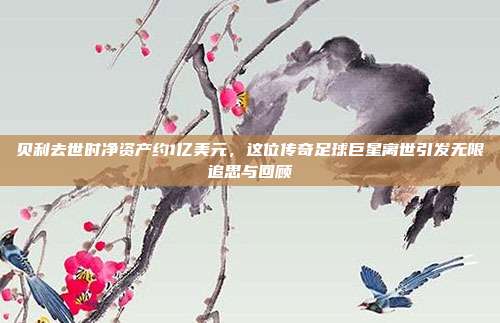 贝利去世时净资产约1亿美元,这位传奇足球巨星离世引发无限追思与回顾