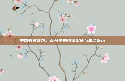 中国雾霾奇观,苍穹中的视觉史诗与生态警示