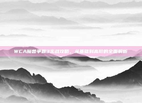 WCA魔兽争霸3实战攻略,从基础到高阶的全面解析