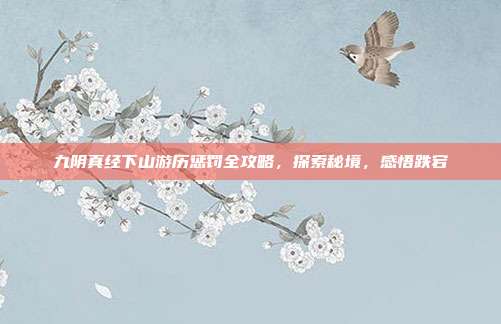 九阴真经下山游历惩罚全攻略，探索秘境，感悟跌宕