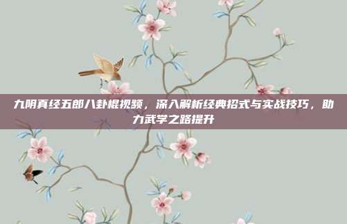 九阴真经五郎八卦棍视频,深入解析经典招式与实战技巧,助力武学之路提升