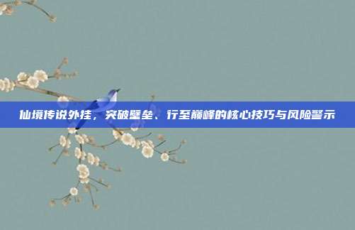 仙境传说外挂，突破壁垒、行至巅峰的核心技巧与风险警示