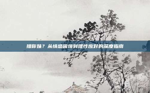 撸你妹?从情感困境到理性应对的深度指南