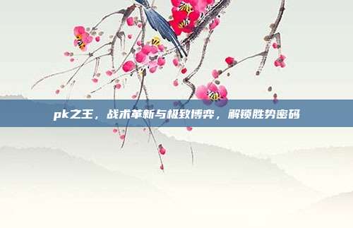pk之王,战术革新与极致博弈,解锁胜势密码