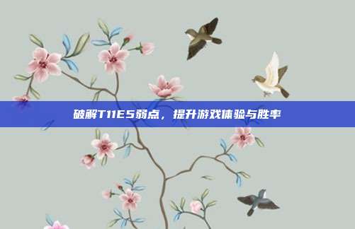 破解T11E5弱点,提升游戏体验与胜率
