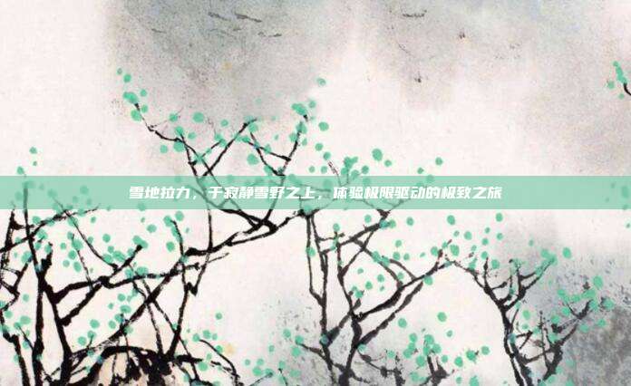 雪地拉力,于寂静雪野之上,体验极限驱动的极致之旅