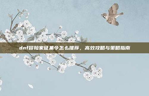 dnf冒险家征集令怎么推荐,高效攻略与策略指南