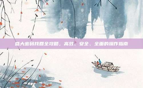 盛大密码找回全攻略,高效、安全、全面的操作指南