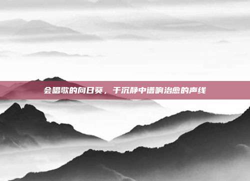 会唱歌的向日葵,于沉静中谱响治愈的声线