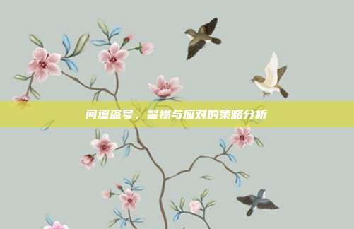 问道盗号,警惕与应对的策略分析