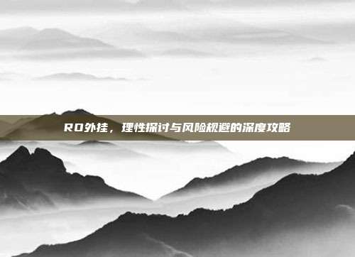 RO外挂,理性探讨与风险规避的深度攻略