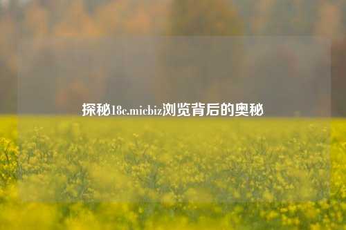 探秘18c.micbiz浏览背后的奥秘