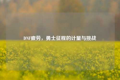 DNF疲劳,勇士征程的计量与挑战