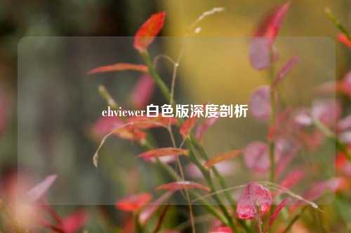 ehviewer白色版深度剖析