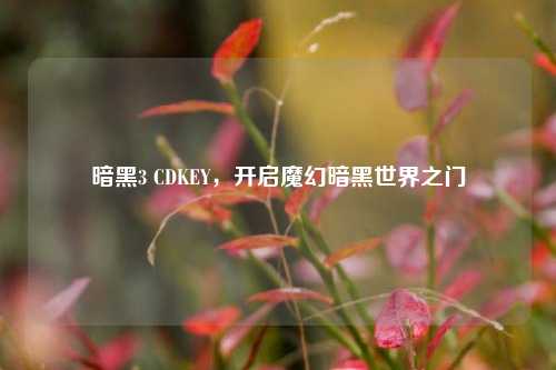 暗黑3 CDKEY，开启魔幻暗黑世界之门