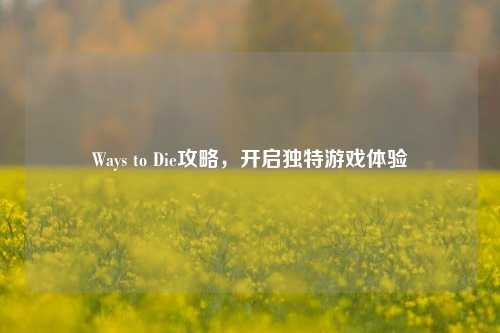 Ways to Die攻略，开启独特游戏体验