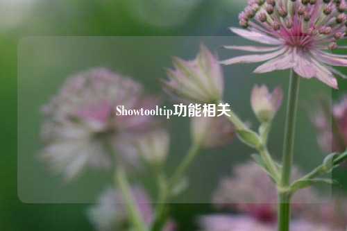 Showtooltip功能相关