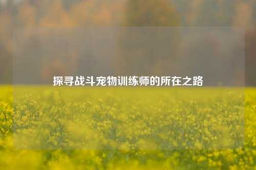 探寻战斗宠物训练师的所在之路