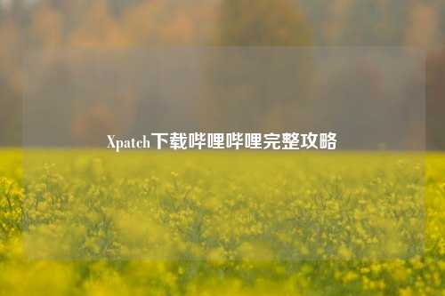 Xpatch下载哔哩哔哩完整攻略