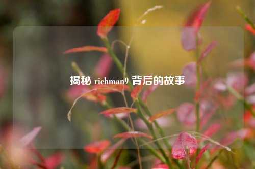 揭秘 richman9 背后的故事