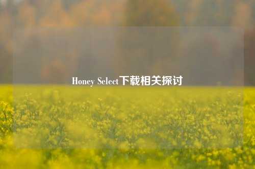 Honey Select下载相关探讨
