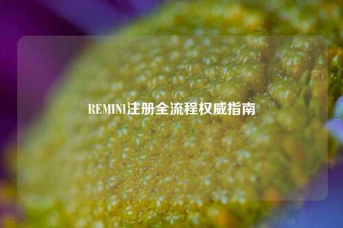 REMINI注册全流程权威指南