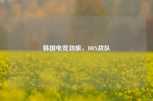 韩国电竞劲旅，DRX战队