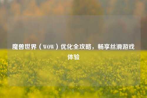 魔兽世界（WOW）优化全攻略，畅享丝滑游戏体验