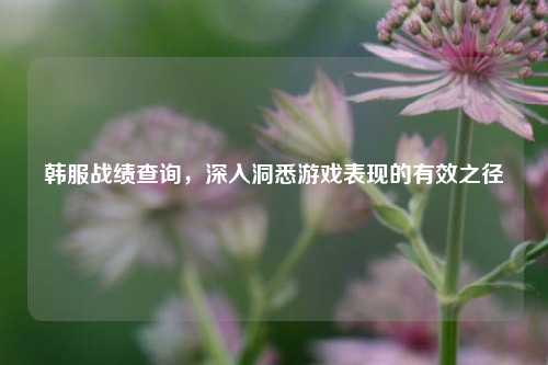 韩服战绩查询，深入洞悉游戏表现的有效之径
