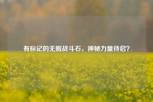 有标记的无暇战斗石，神秘力量待启？