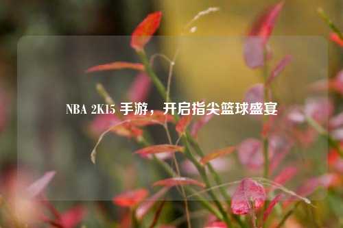 NBA 2K15 手游，开启指尖篮球盛宴