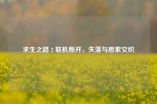 求生之路 2 联机断开，失落与思索交织