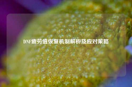 DNF疲劳值恢复机制解析及应对策略