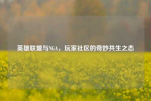 英雄联盟与NGA，玩家社区的奇妙共生之态