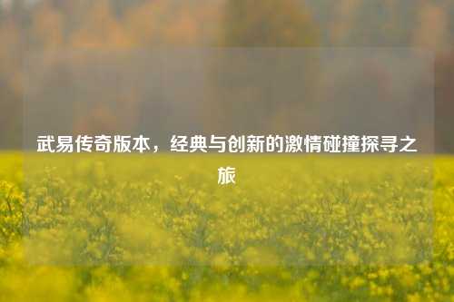武易传奇版本，经典与创新的激情碰撞探寻之旅
