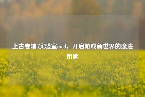 上古卷轴5实验室mod，开启游戏新世界的魔法钥匙