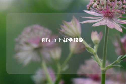 FIFA 13 下载全攻略